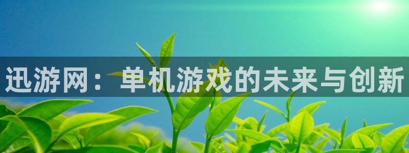 欧博娱乐平台官网登录：迅游网：单机游戏的未来与创新