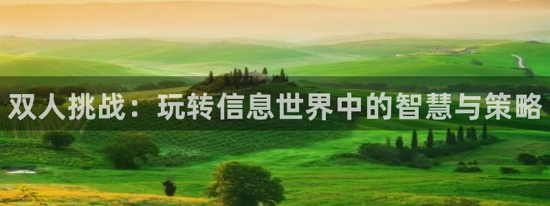 欧博娱乐直属：双人挑战：玩转信息世界中的智慧与策略