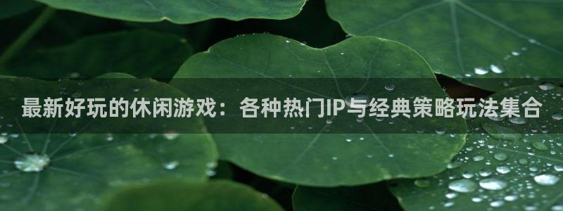 欧博娱乐平台注册资金多少：最新好玩的休闲游戏：各种热门IP与