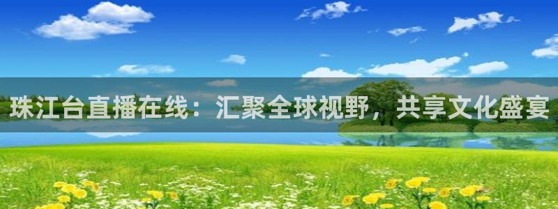 9255tv直播nba在线直播：珠江台直播在线：汇聚全球视野，共享文化盛宴