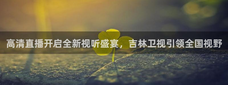 9255tv直播nba在线直播：高清直播开启全新视听盛宴，吉林卫视引领全国视野