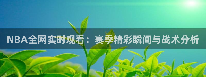 9255tv直播nba在线直播：NBA全网实时观看：赛季精彩瞬间与战术分析