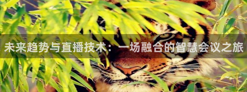 9255tv直播nba在线观看：未来趋势与直播技术：一场融合的智慧会议之旅
