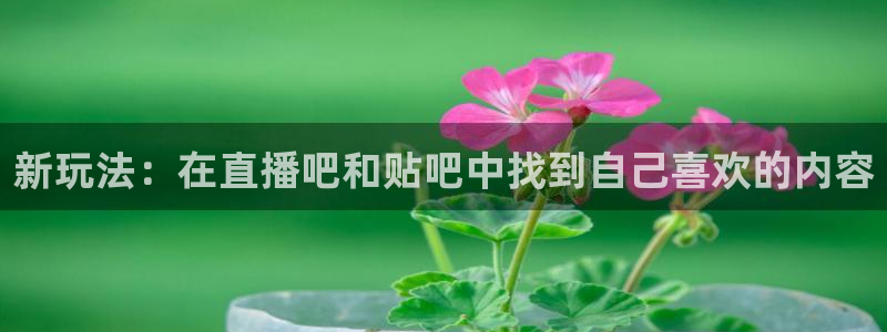 9255tv直播nba在线直播