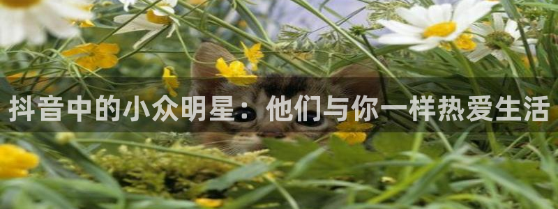 9255tv直播nba在线直播