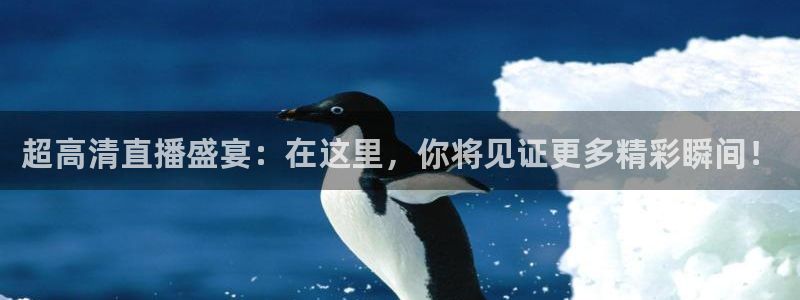 9255tv直播无插件nba：超高清直播盛宴：在这里，你将见证更多精彩瞬间！